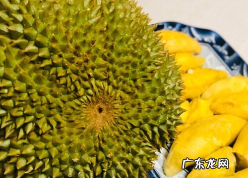 榴莲品种排名图片大全好吃的榴莲品种排行榜