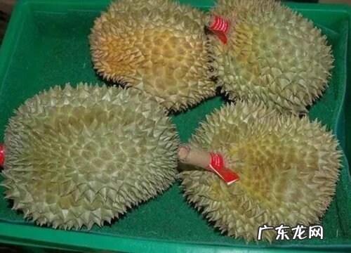 榴莲品种排名图片大全好吃的榴莲品种排行榜