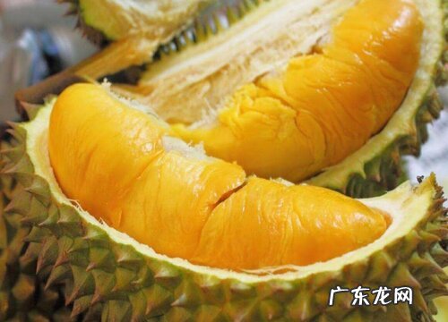 榴莲品种排名图片大全好吃的榴莲品种排行榜