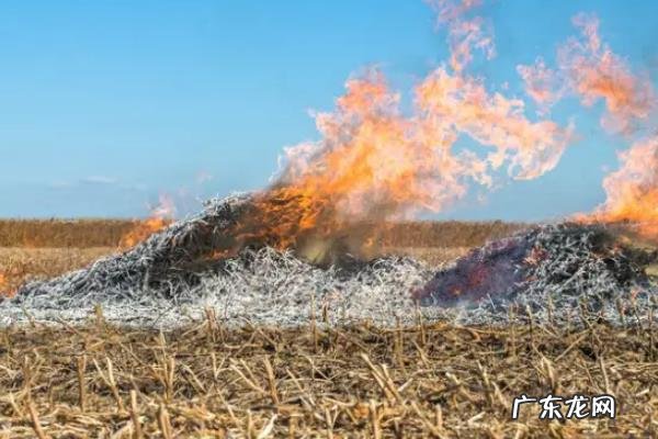 秸秆焚烧的危害