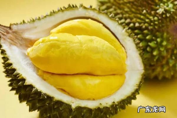 猫山王榴莲成熟时间，附与普通榴莲有何不同