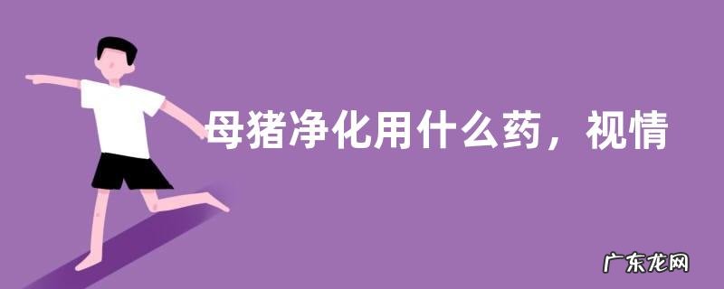 母猪净化用什么药，视情况选择
