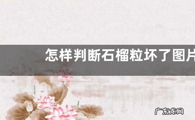 怎样判断石榴粒坏了图片 石榴籽颜色有点深算坏了吗