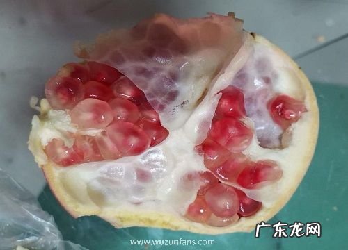 怎样判断石榴粒坏了图片 石榴籽颜色有点深算坏了吗