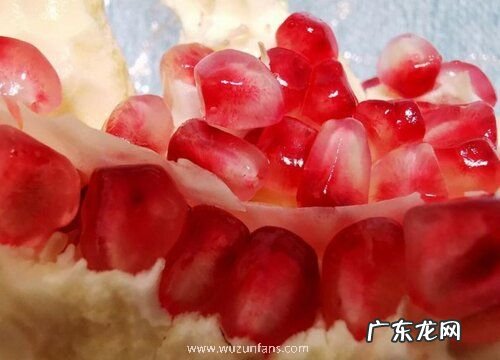 怎样判断石榴粒坏了图片 石榴籽颜色有点深算坏了吗