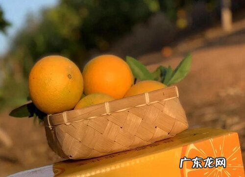 江西赣南脐橙几月份成熟 赣南脐橙几月份上市和下市