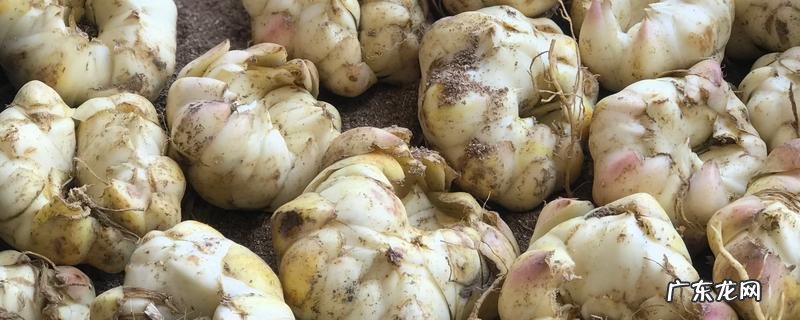 鲜百合保存方法，百合的繁殖方法