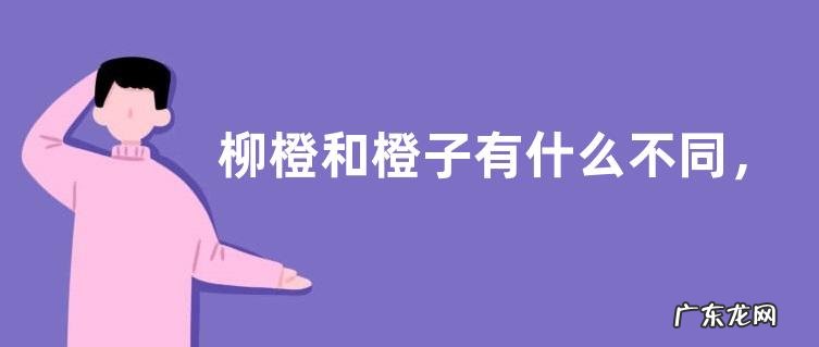 柳橙和橙子有什么不同，具体怎么区分