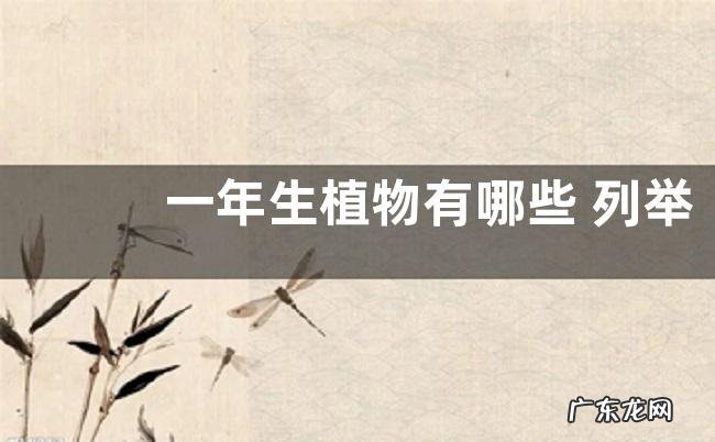 一年生植物有哪些 列举7种常见的花卉植物图片