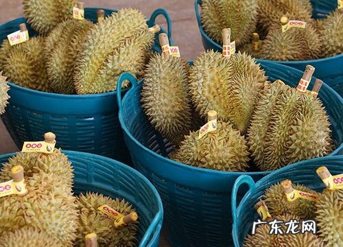 榴莲不熟要怎么放才能熟 剥开的榴莲肉没熟怎么办