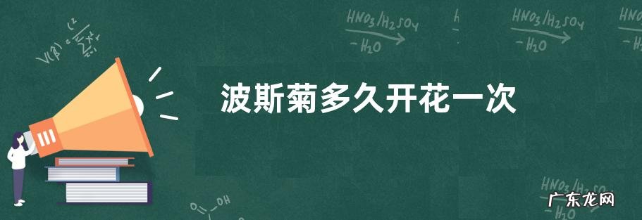 波斯菊多久开花一次