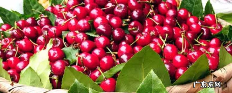 车厘子卖这么贵的原因，车厘子和樱桃的区别