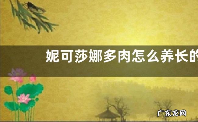 妮可莎娜多肉怎么养长的好