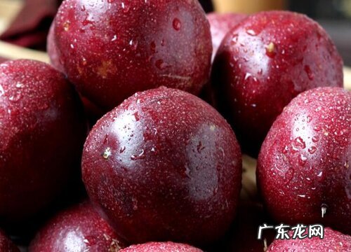 减肥吃什么水果最好瘦的快 12种热量低减脂快水果