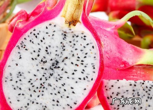 减肥吃什么水果最好瘦的快 12种热量低减脂快水果