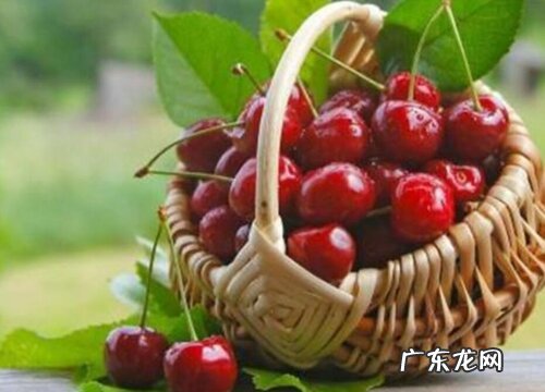 减肥吃什么水果最好瘦的快 12种热量低减脂快水果