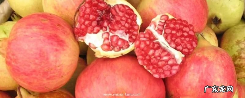 石榴没熟能吃吗,石榴怎么催熟