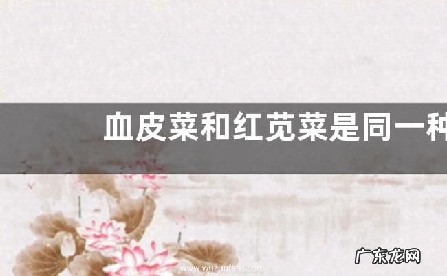 血皮菜和红苋菜是同一种菜吗，红苋菜的栽培技术是什么
