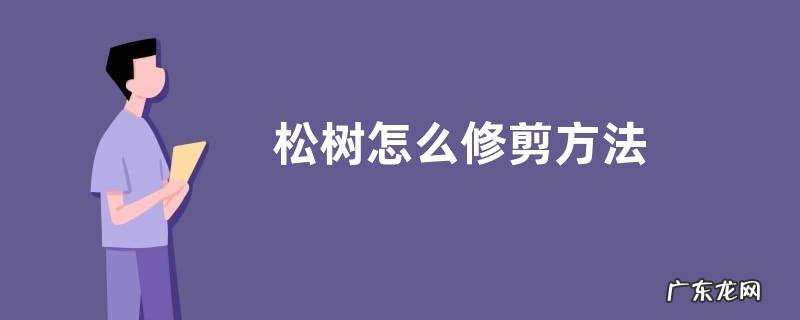 松树怎么修剪方法