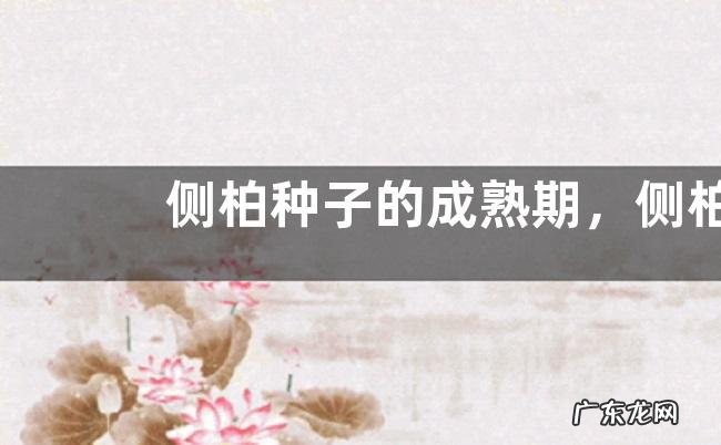 侧柏种子的成熟期,侧柏是什么