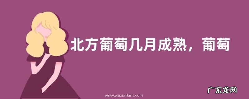 北方葡萄几月成熟，葡萄苗怎么繁殖