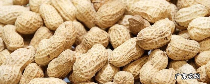 东北花生什么时间成熟，东北花生什么时候收获