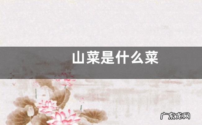山菜是什么菜