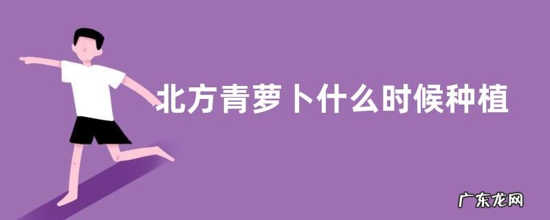 北方青萝卜什么时候种植最好 几月份种好