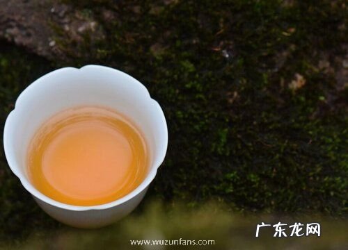 大红袍属于什么茶喝大红袍茶功效作用与好处