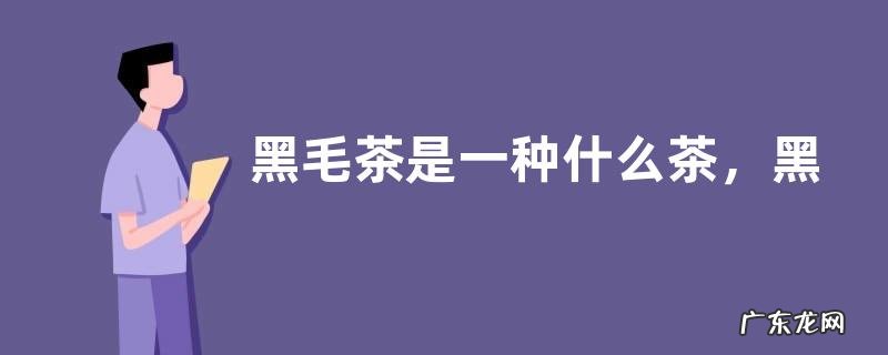黑毛茶是一种什么茶,黑毛茶怎么制作出来的