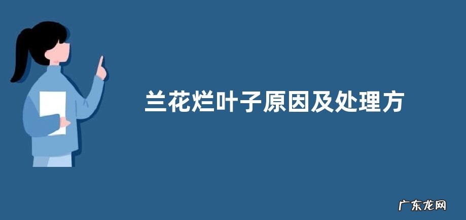兰花烂叶子原因及处理方法