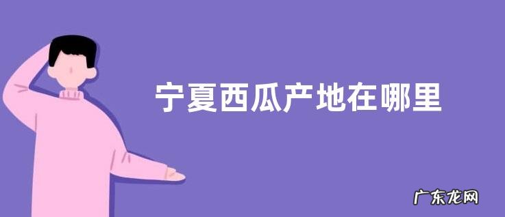 宁夏西瓜产地在哪里