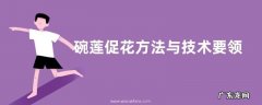 碗莲促花方法与技术要领 人工催花技巧