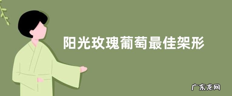 阳光玫瑰葡萄最佳架形适合什么架型