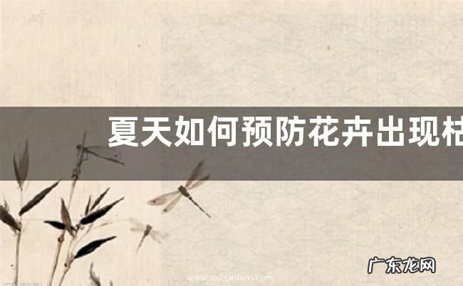 夏天如何预防花卉出现枯萎病