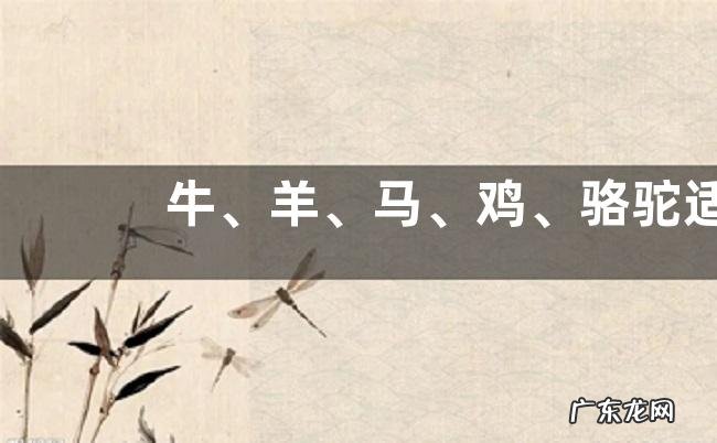 牛、羊、马、鸡、骆驼适合在宁夏农村养殖吗,这些养殖业在宁夏的发展怎么样