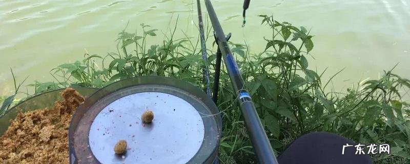 钓鲫鱼可用哪些饵料,附各季节饵料配方