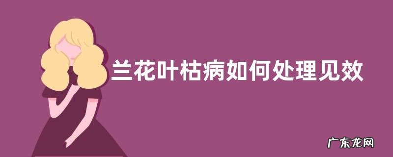 兰花叶枯病如何处理见效快