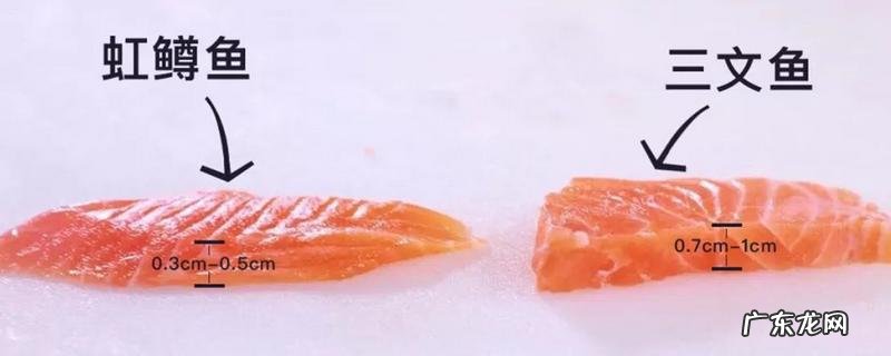 虹鳟鱼和三文鱼有什么不同,三文鱼有没有寄生虫