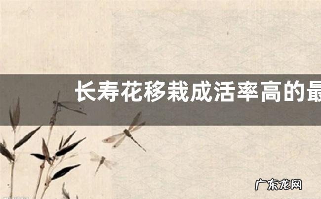 长寿花移栽成活率高的最佳方法