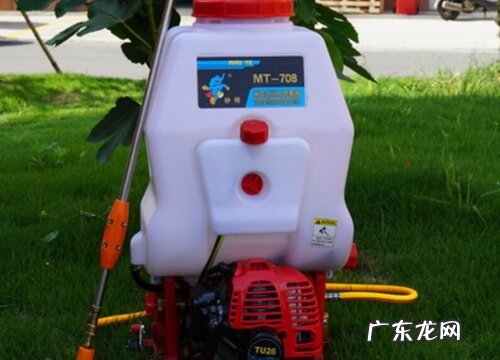 给花卉喷施叶面肥应该注意些什么