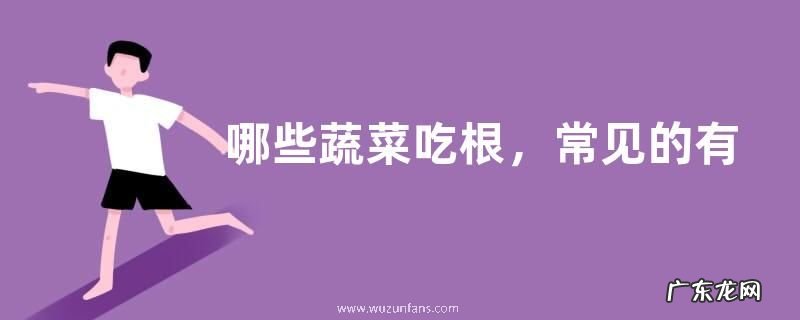 哪些蔬菜吃根，常见的有这些