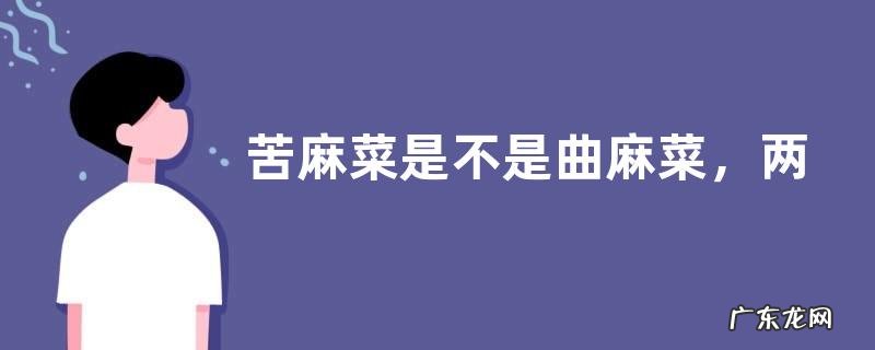 苦麻菜是不是曲麻菜,两者有什么区别
