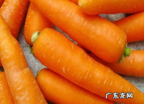 胡萝卜有什么颜色