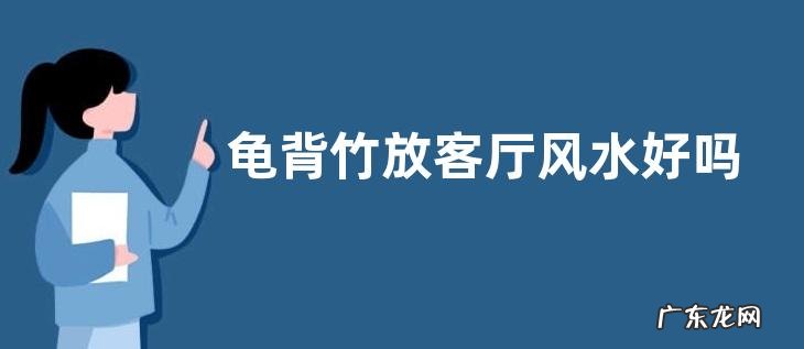 龟背竹放客厅风水好吗