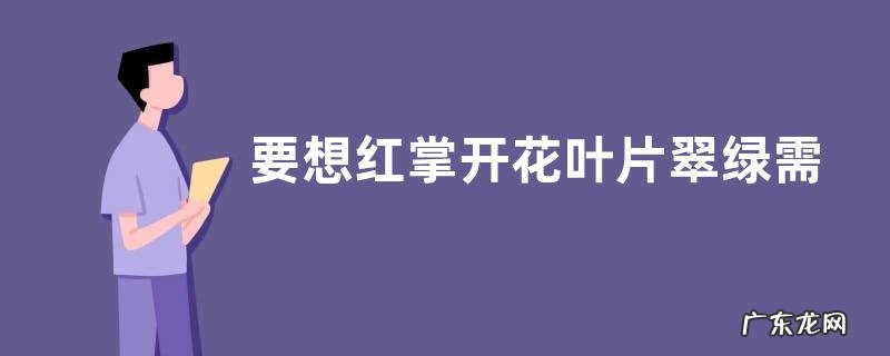 要想红掌开花叶片翠绿需要怎么养护