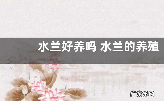 水兰好养吗 水兰的养殖方法和注意事项