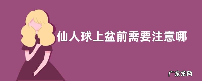 仙人球上盆前需要注意哪些细节