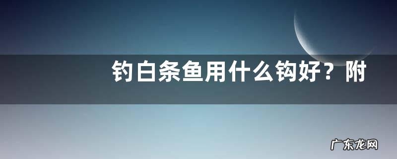 钓白条鱼用什么钩好?附其饵料配制