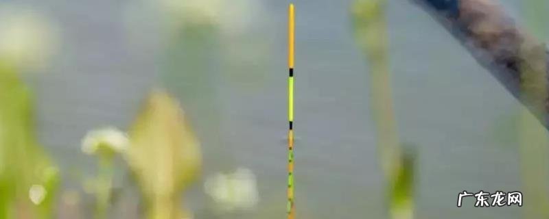 上鱼时浮漂有什么漂相,具体特征是什么